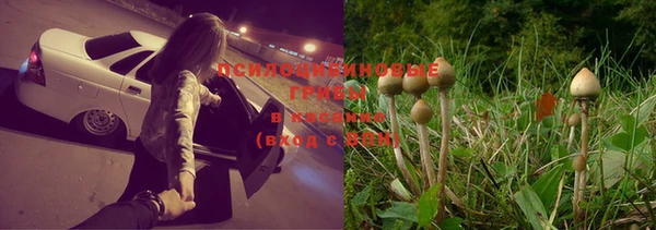 спайс Волосово