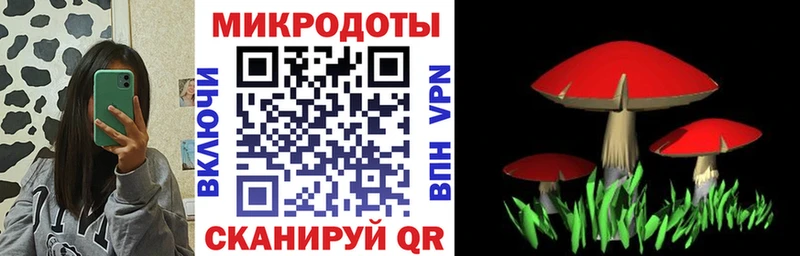 Купить закладки  Новокубанск  Псилоцибиновые грибы мицелий 